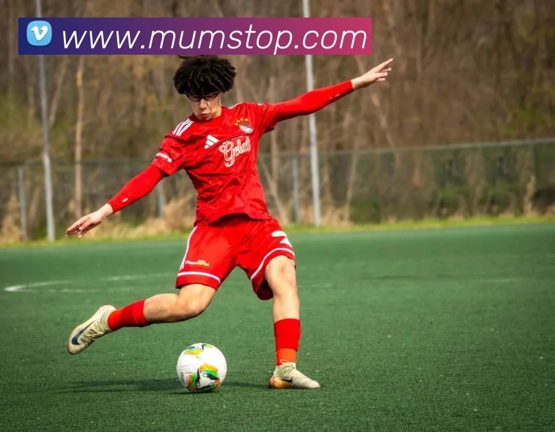 全明星赛即将开启老六强势回归观赛必看指南